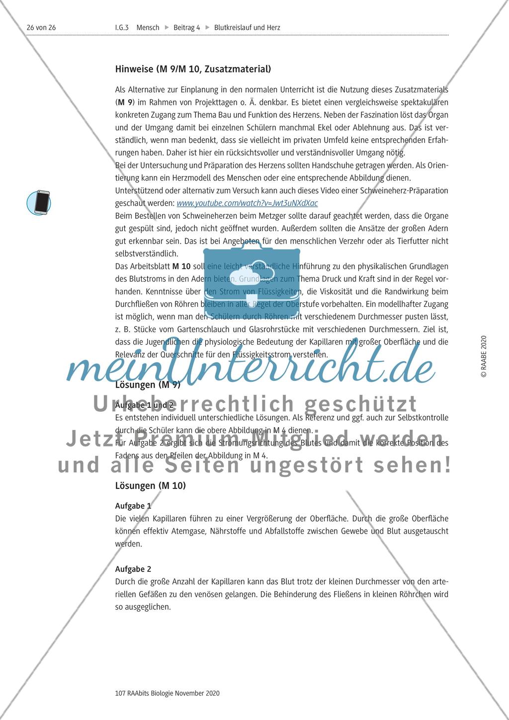 Einflüsse der Lebensführung auf die Gesundheit des Herz-Kreislauf-Systems / Untersuchung und Präparation eines Schweineherzens / Blutplasma durchspült das Gewebe Preview 4