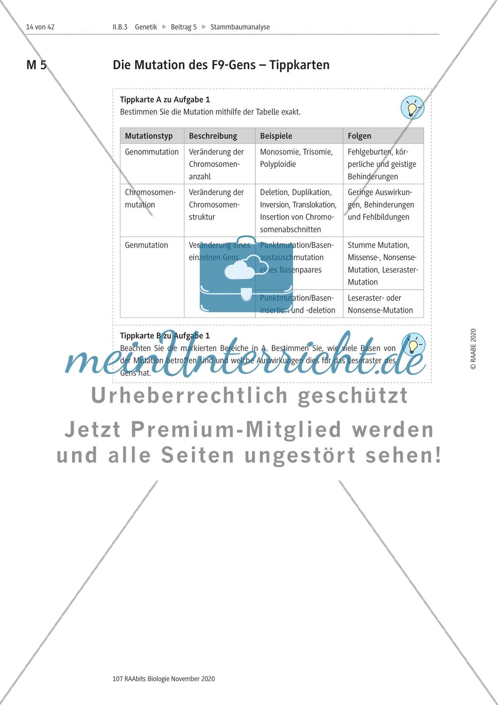 Stammbaumanalyse Preview 14