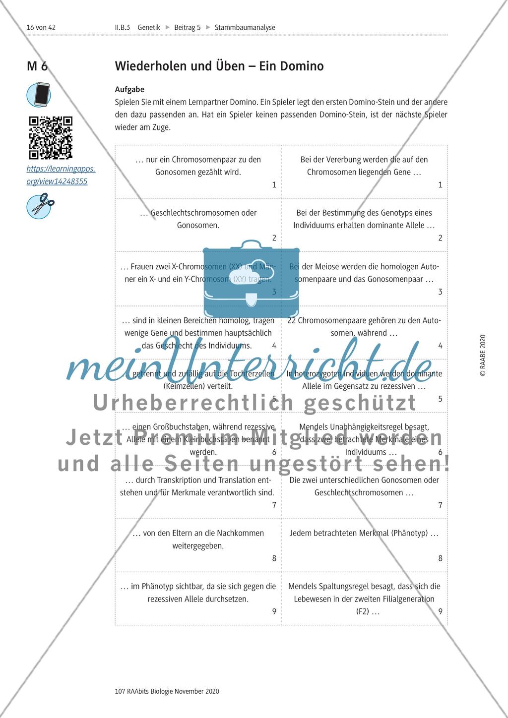 Stammbaumanalyse Preview 16