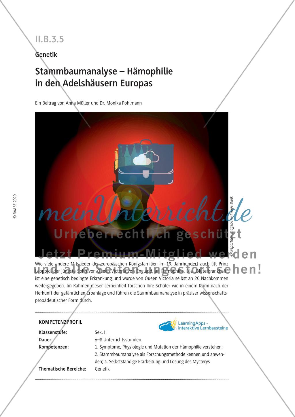 Stammbaumanalyse Preview 1