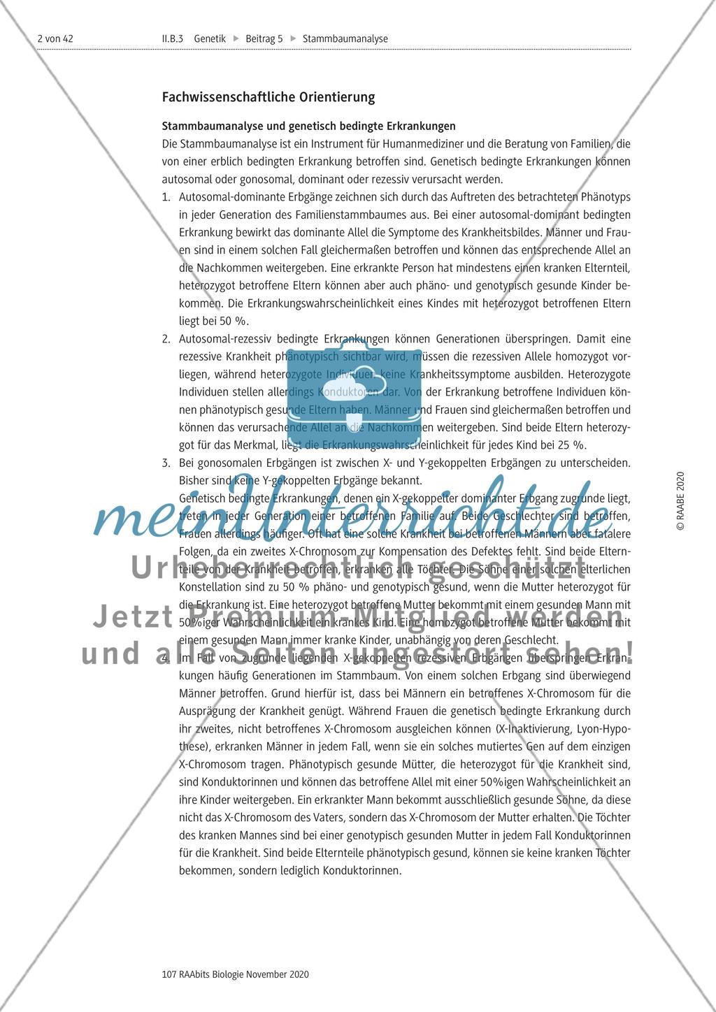 Stammbaumanalyse Preview 2