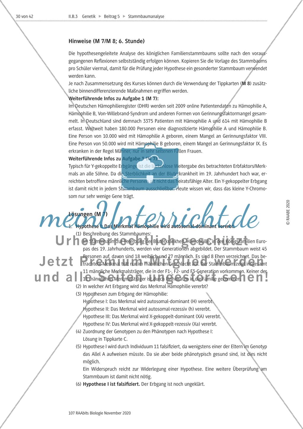 Stammbaumanalyse Preview 30