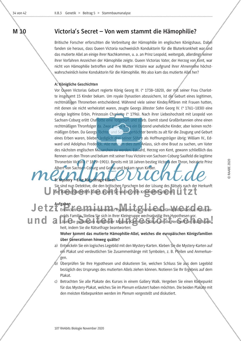 Stammbaumanalyse Preview 34