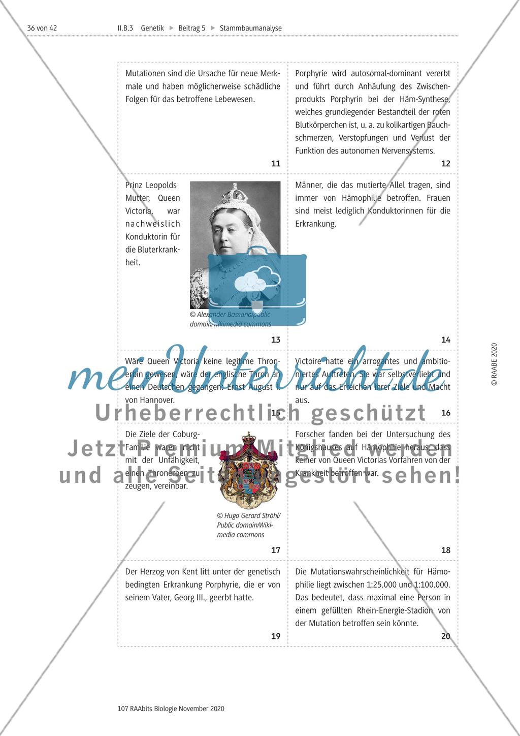 Stammbaumanalyse Preview 36