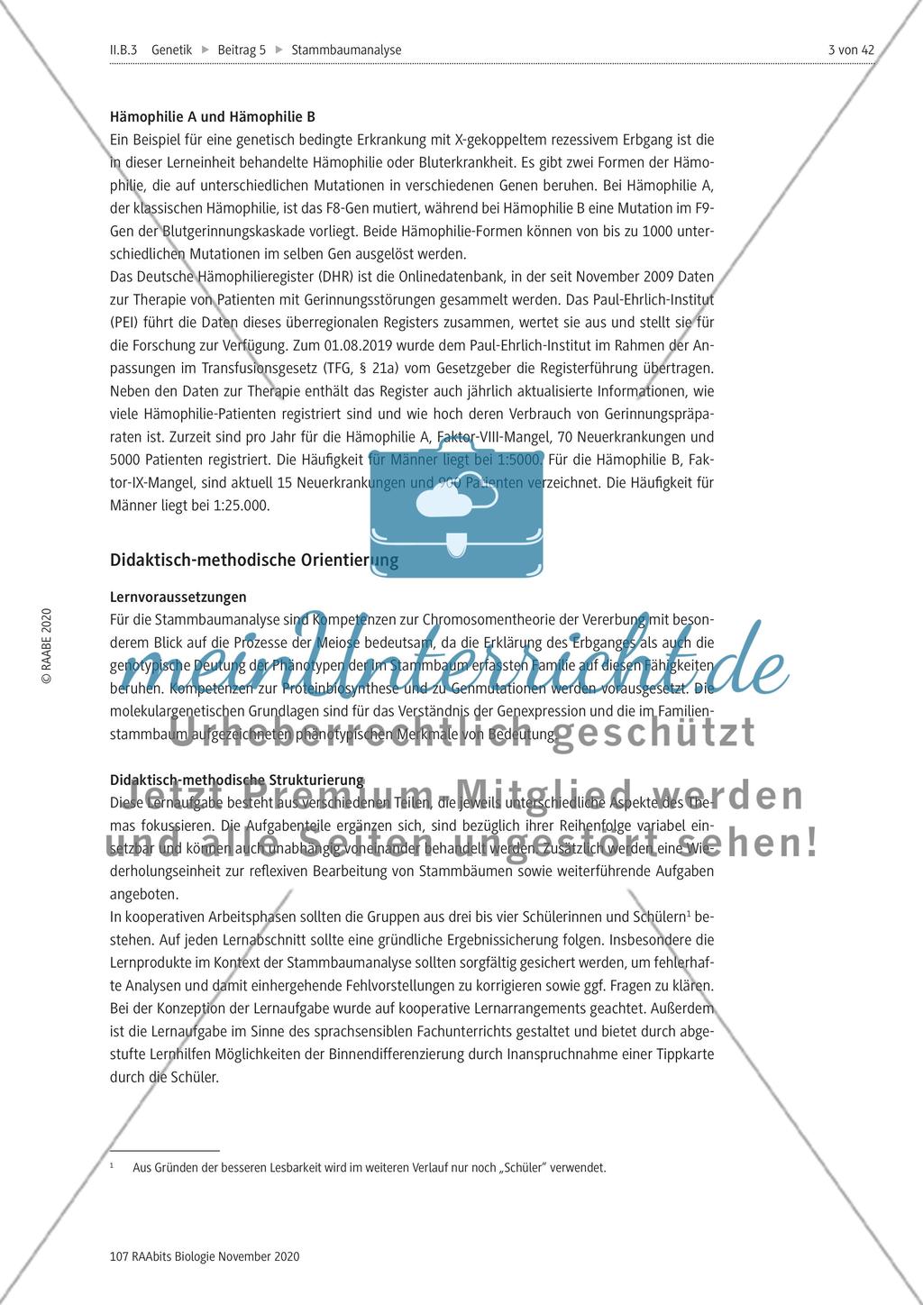 Stammbaumanalyse Preview 3