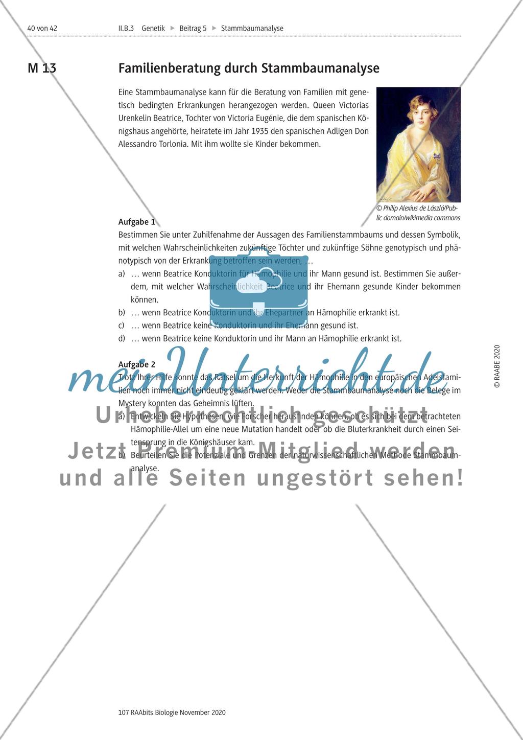 Stammbaumanalyse Preview 40