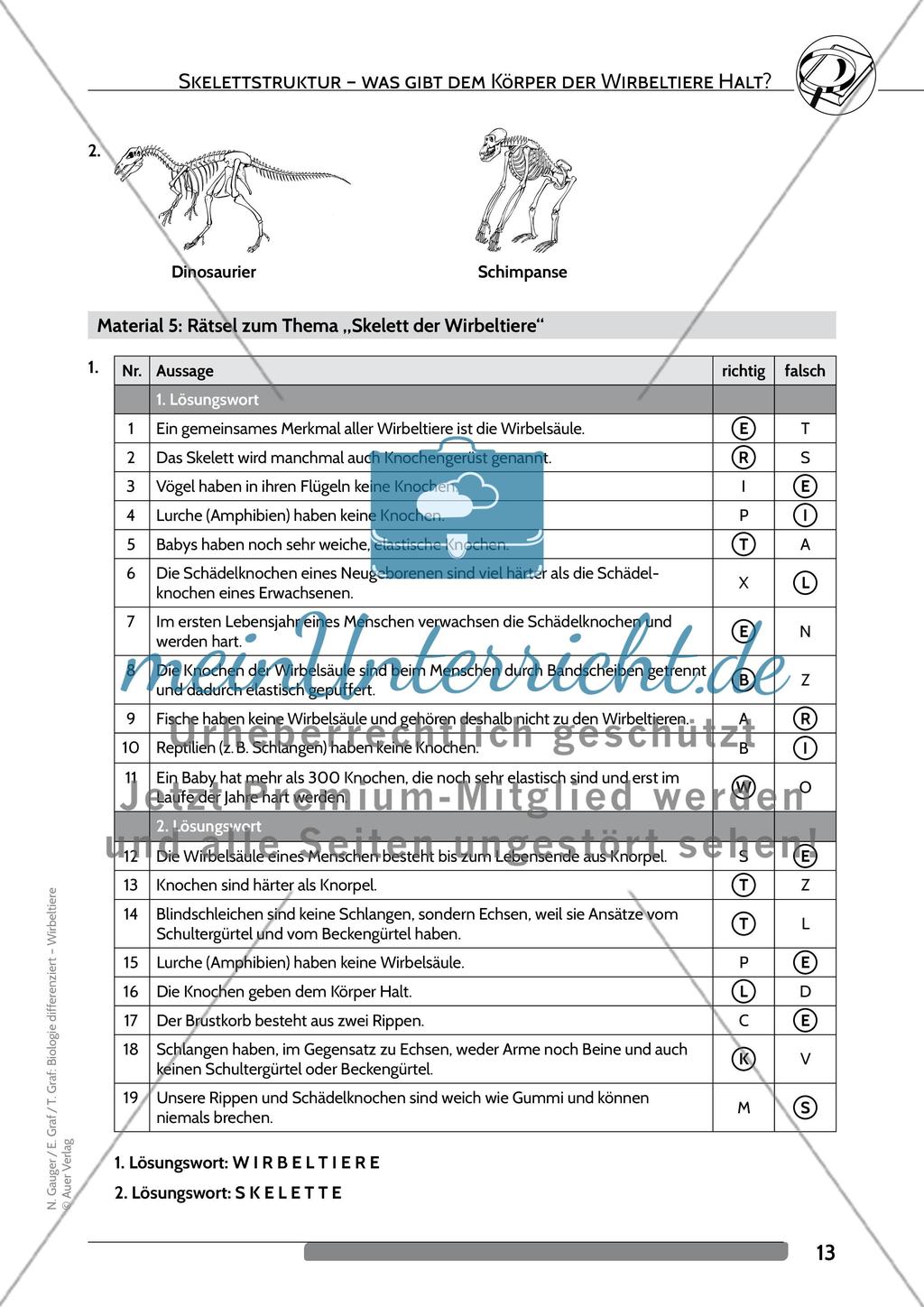 Skelettstruktur – was gibt dem Körper der Wirbeltiere Halt? Preview 9