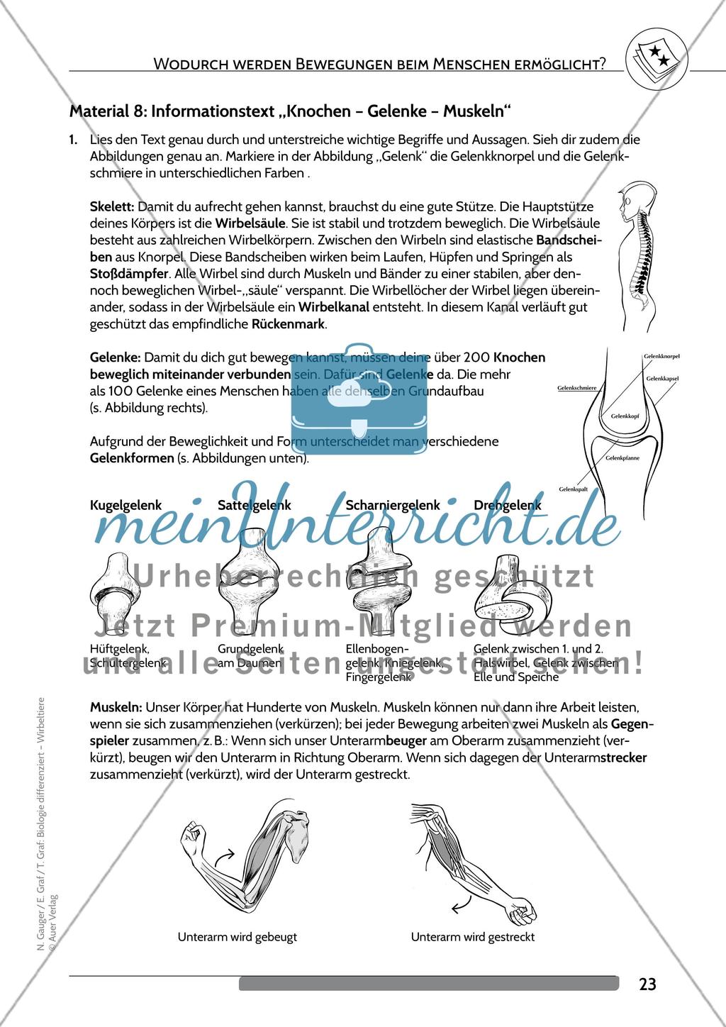 Wodurch werden Bewegungen beim Menschen ermöglicht? Preview 10