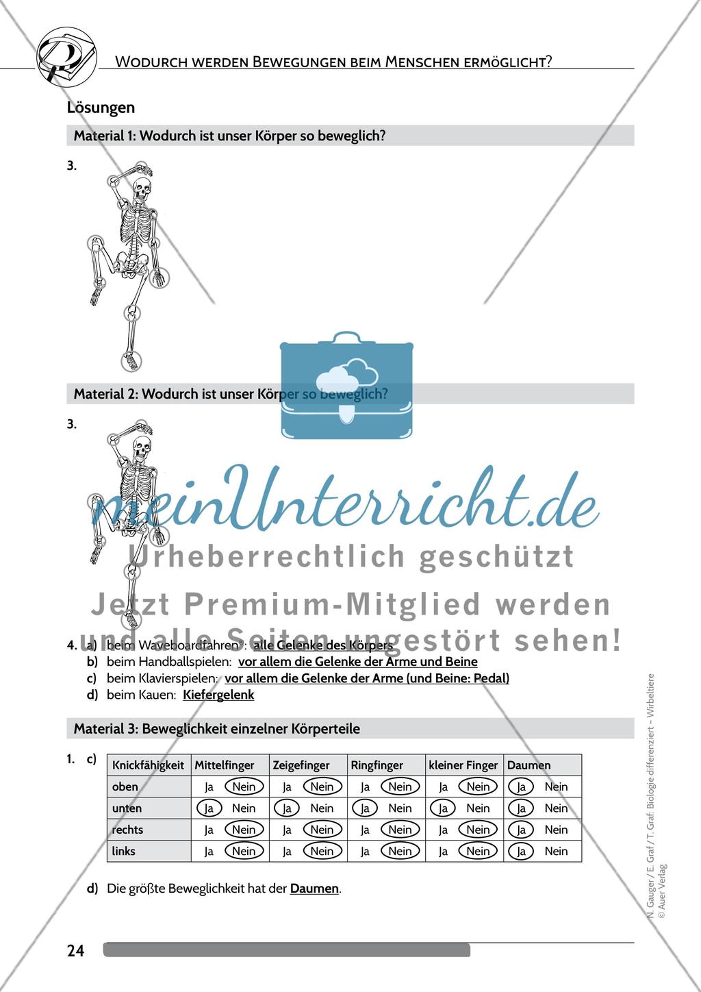 Wodurch werden Bewegungen beim Menschen ermöglicht? Preview 11