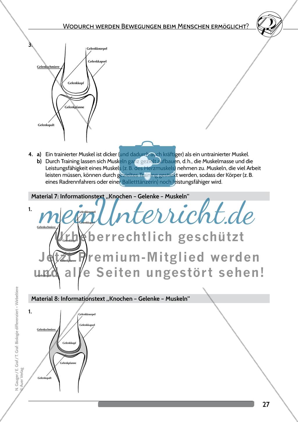 Wodurch werden Bewegungen beim Menschen ermöglicht? Preview 14