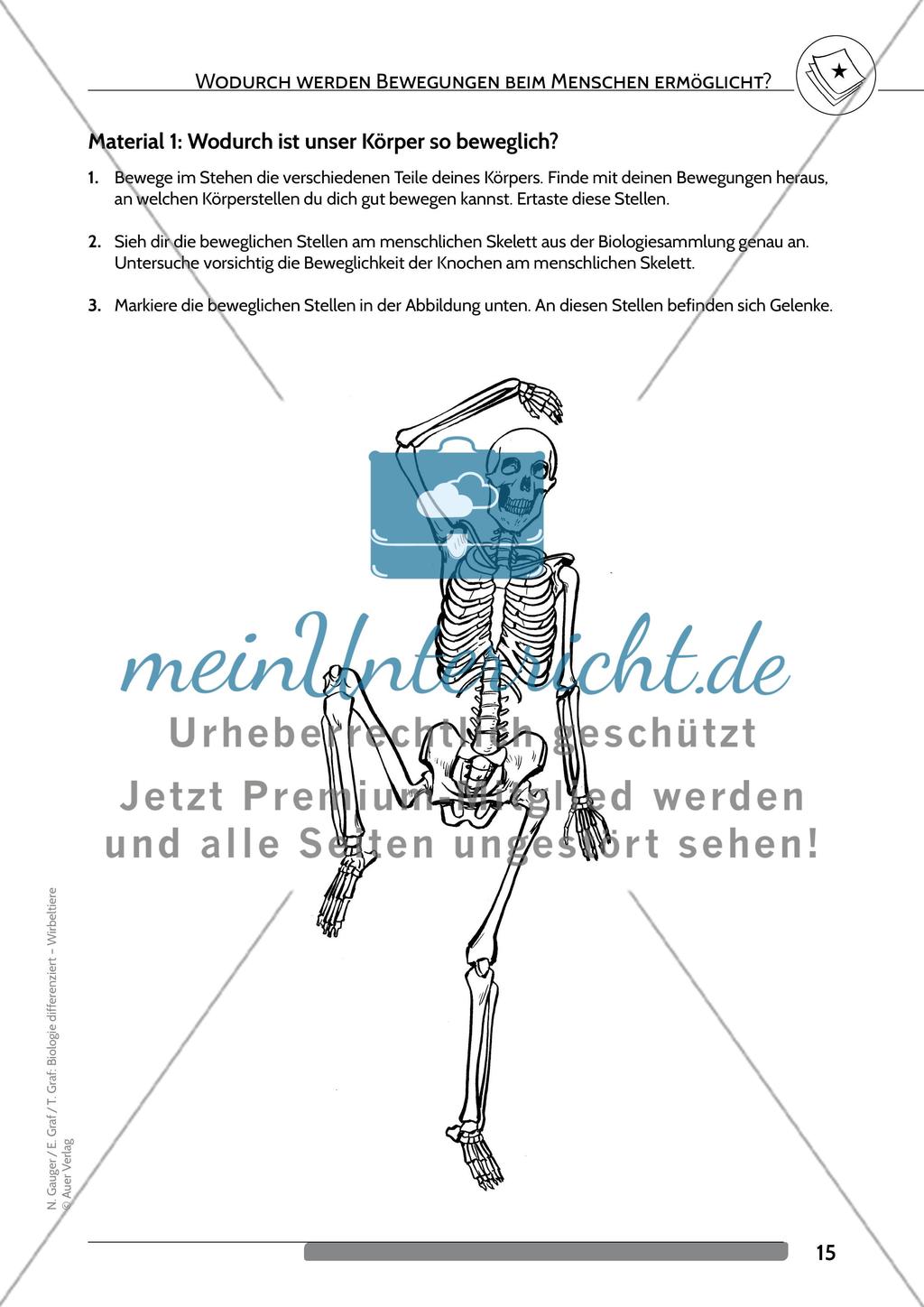 Wodurch werden Bewegungen beim Menschen ermöglicht? Preview 2