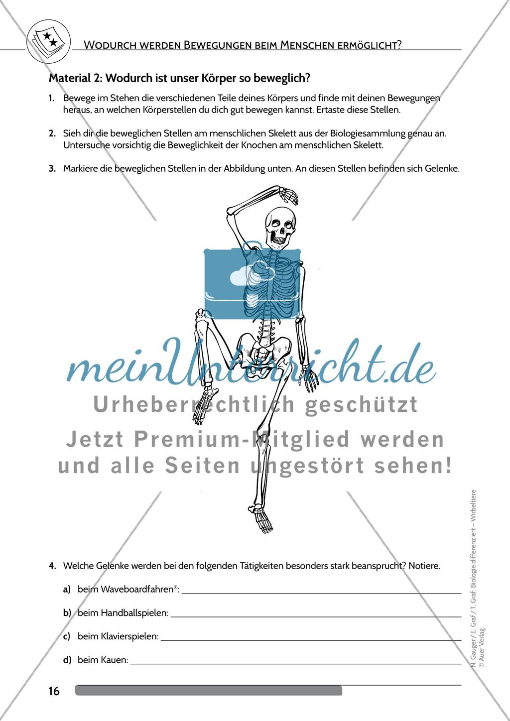 Wodurch werden Bewegungen beim Menschen ermöglicht? Preview 3