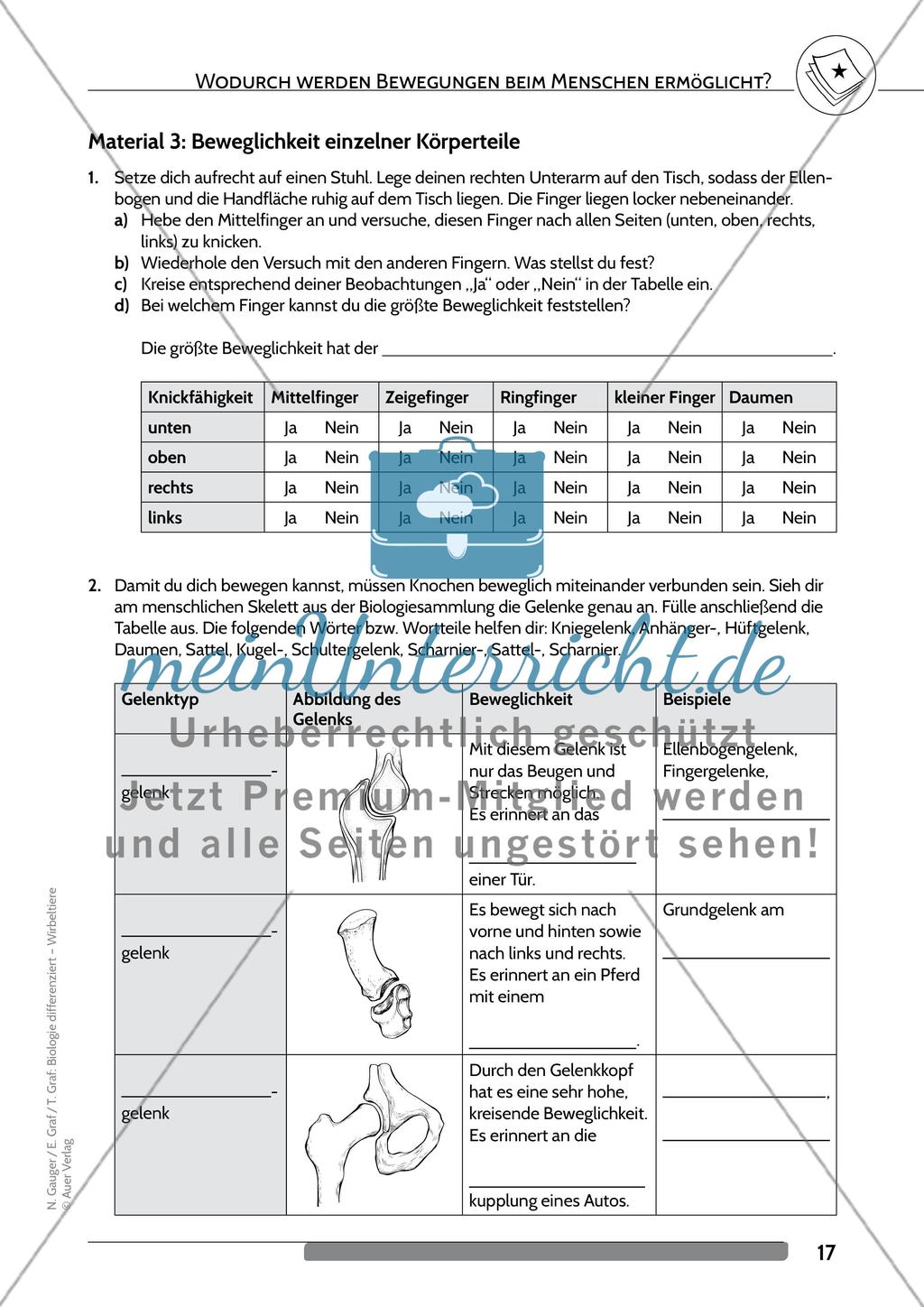 Wodurch werden Bewegungen beim Menschen ermöglicht? Preview 4