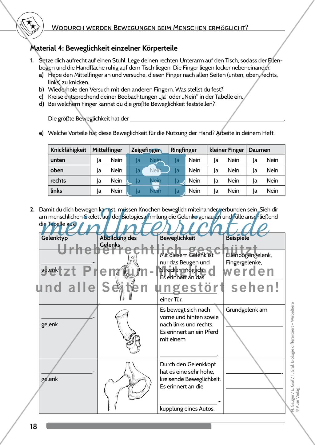 Wodurch werden Bewegungen beim Menschen ermöglicht? Preview 5
