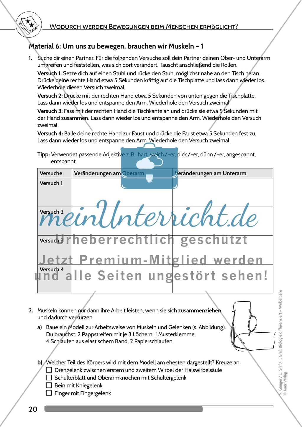 Wodurch werden Bewegungen beim Menschen ermöglicht? Preview 7