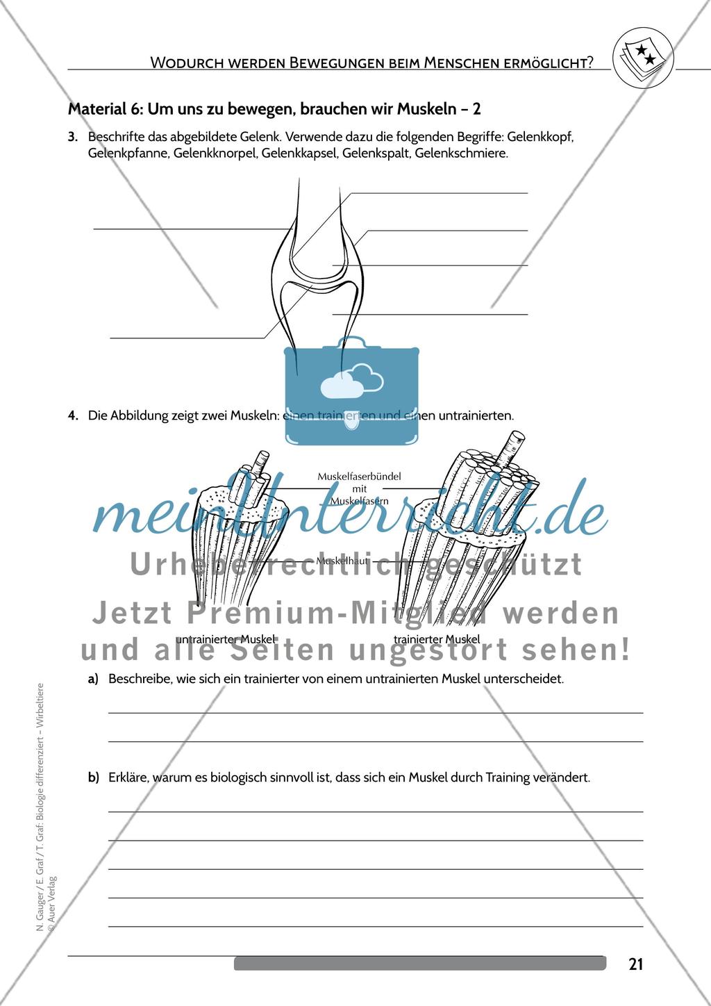 Wodurch werden Bewegungen beim Menschen ermöglicht? Preview 8