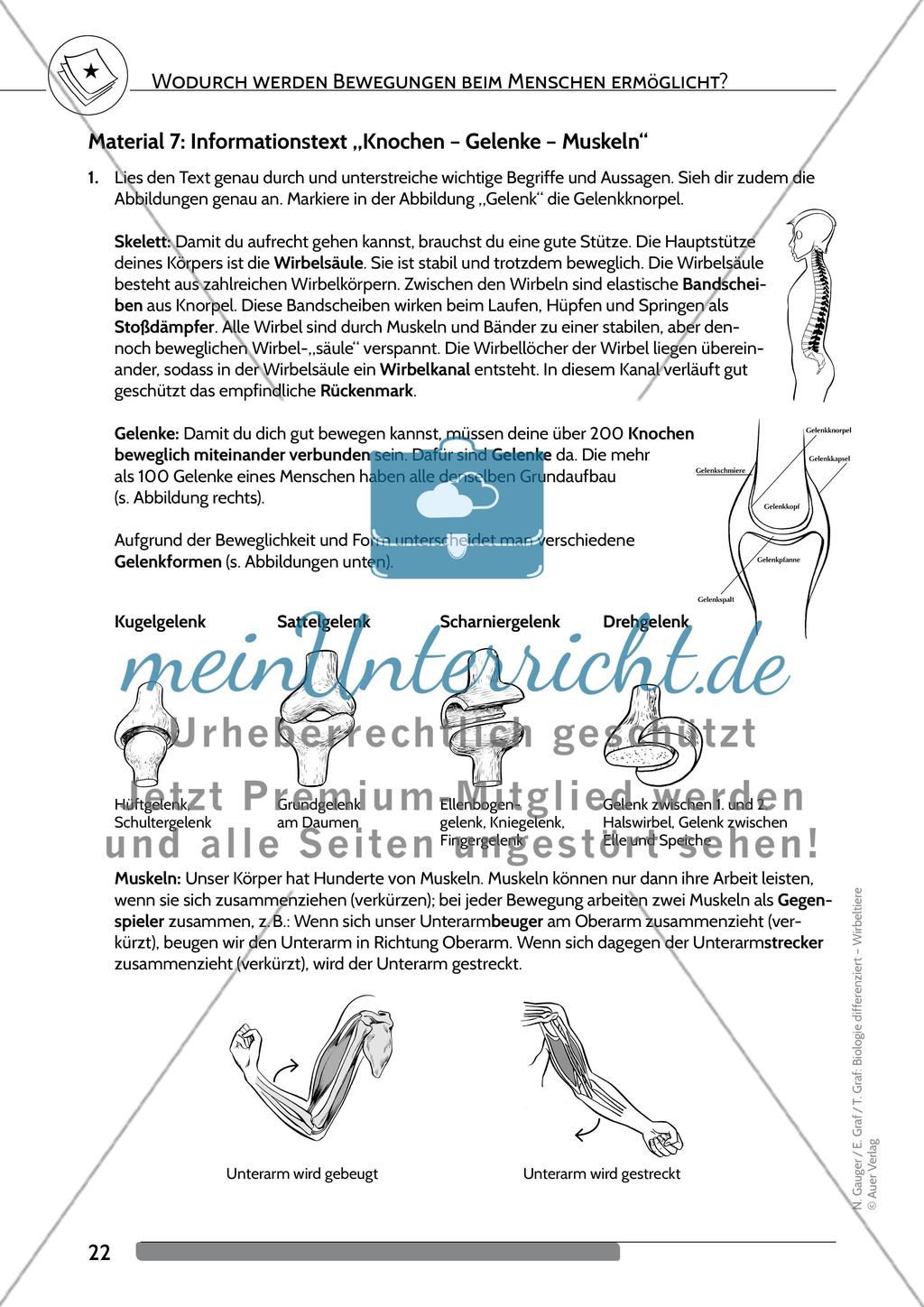 Wodurch werden Bewegungen beim Menschen ermöglicht? Preview 9