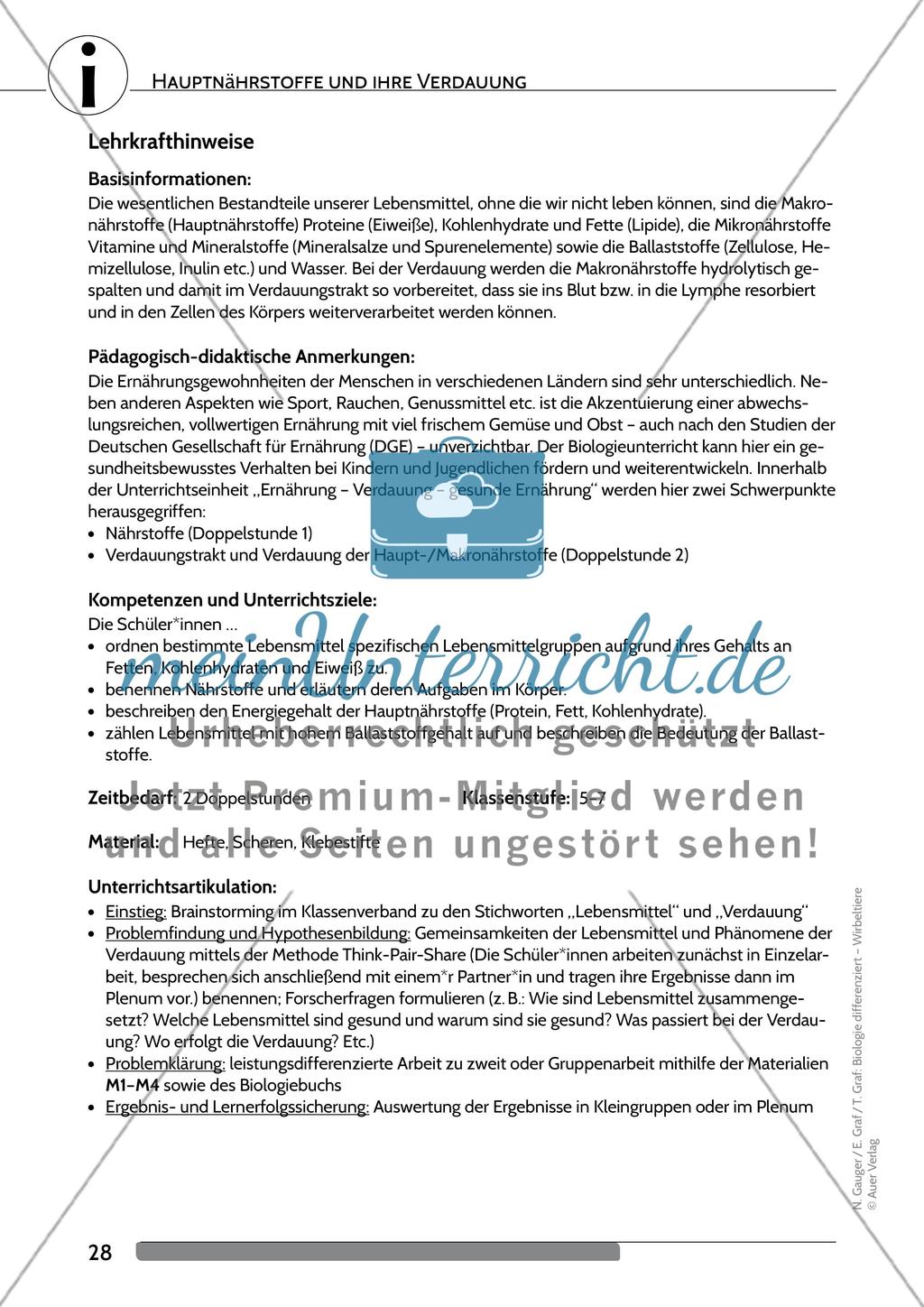 Hauptnährstoffe und ihre Verdauung Preview 1