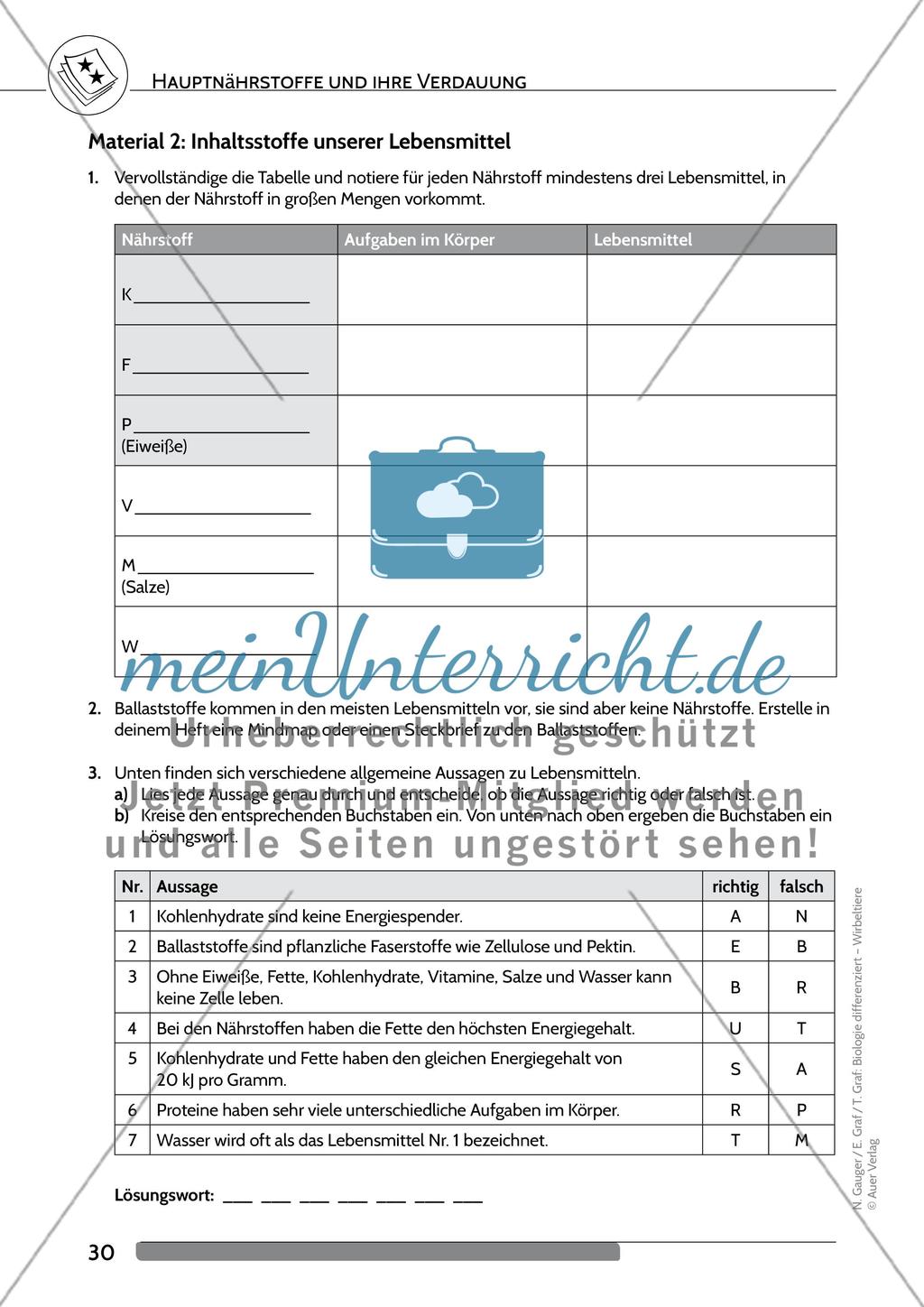 Hauptnährstoffe und ihre Verdauung Preview 3