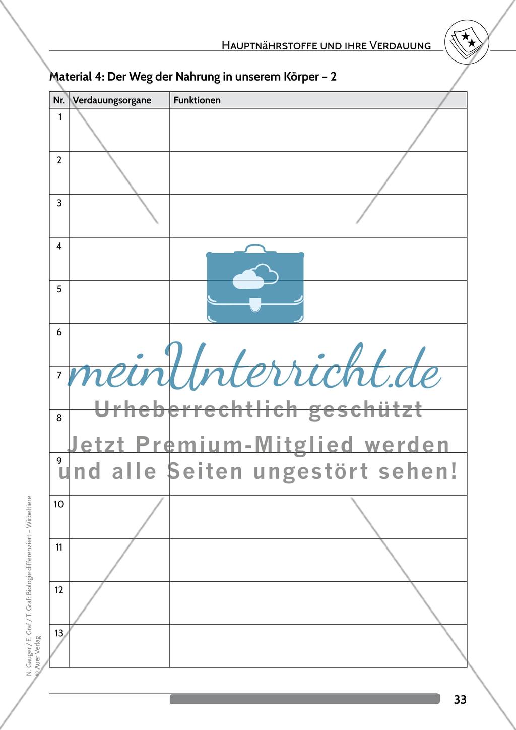 Hauptnährstoffe und ihre Verdauung Preview 6