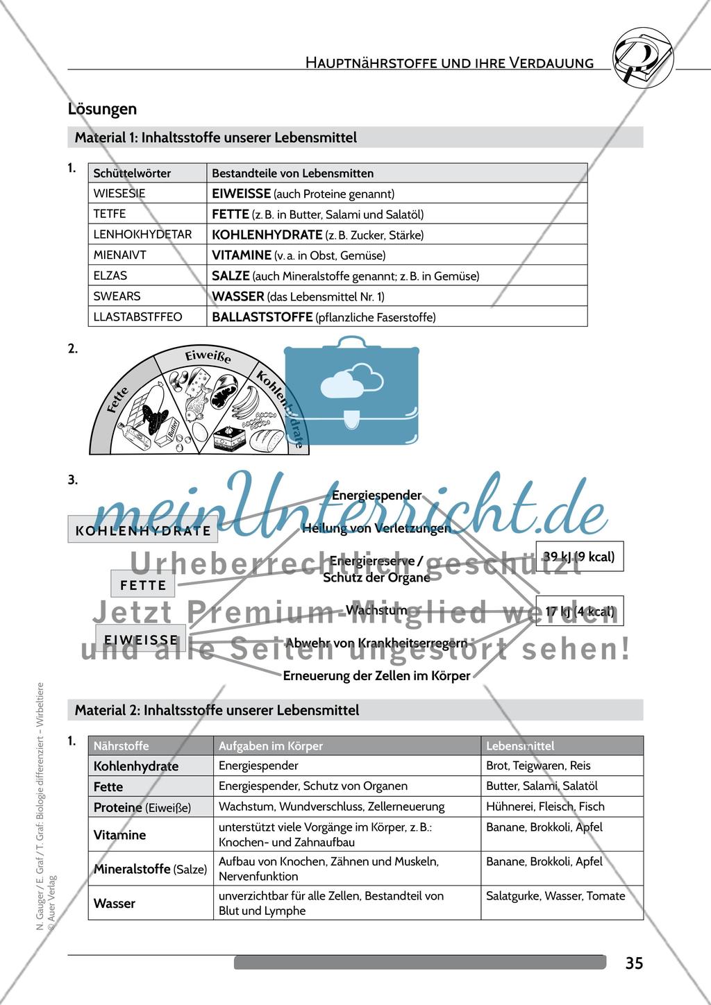 Hauptnährstoffe und ihre Verdauung Preview 8