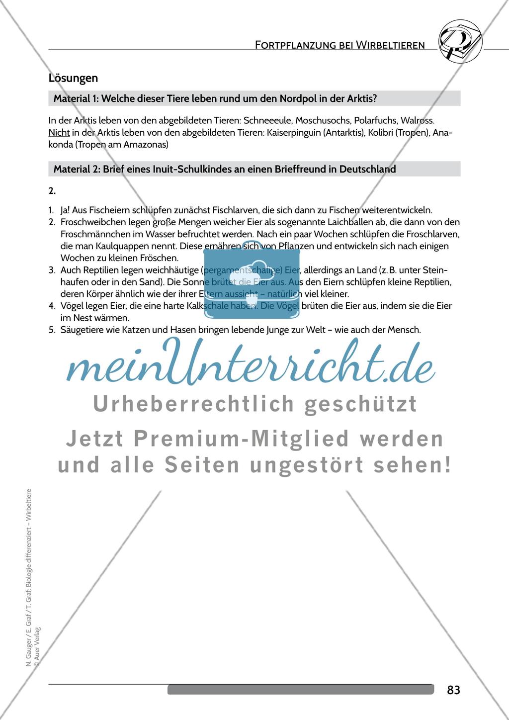 Fortpflanzung bei Wirbeltieren Preview 6