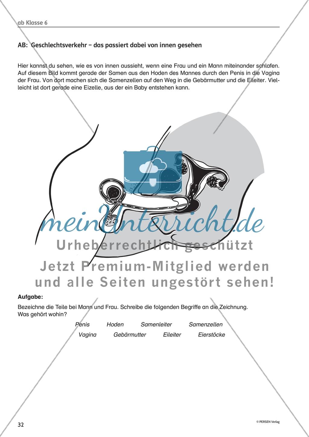 Methodisches für die Unterrichtspraxis: Hinweise und Arbeitsmaterial - Teil 1 Preview 13