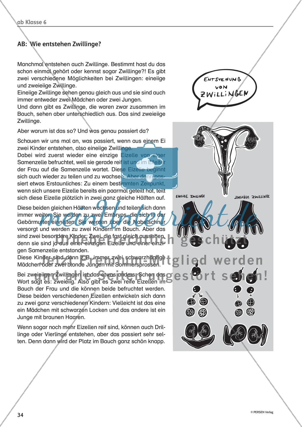 Methodisches für die Unterrichtspraxis: Hinweise und Arbeitsmaterial - Teil 1 Preview 15