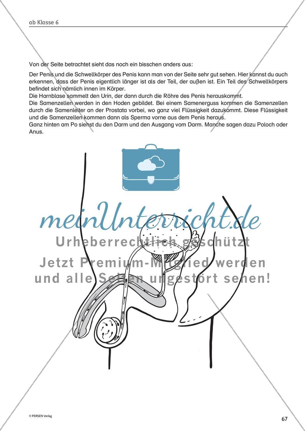 Methodisches für die Unterrichtspraxis: Hinweise und Arbeitsmaterial - Teil 3 Preview 11
