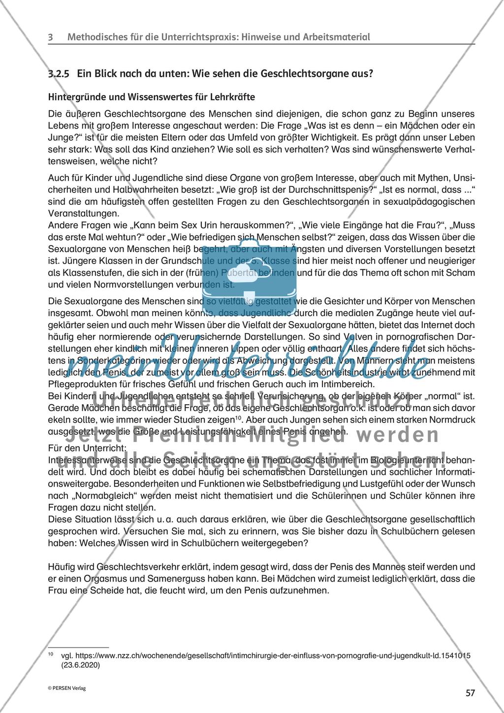 Methodisches für die Unterrichtspraxis: Hinweise und Arbeitsmaterial - Teil 3 Preview 1