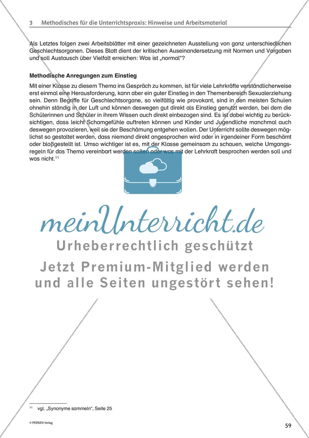 Methodisches für die Unterrichtspraxis: Hinweise und Arbeitsmaterial - Teil 3 Preview 3
