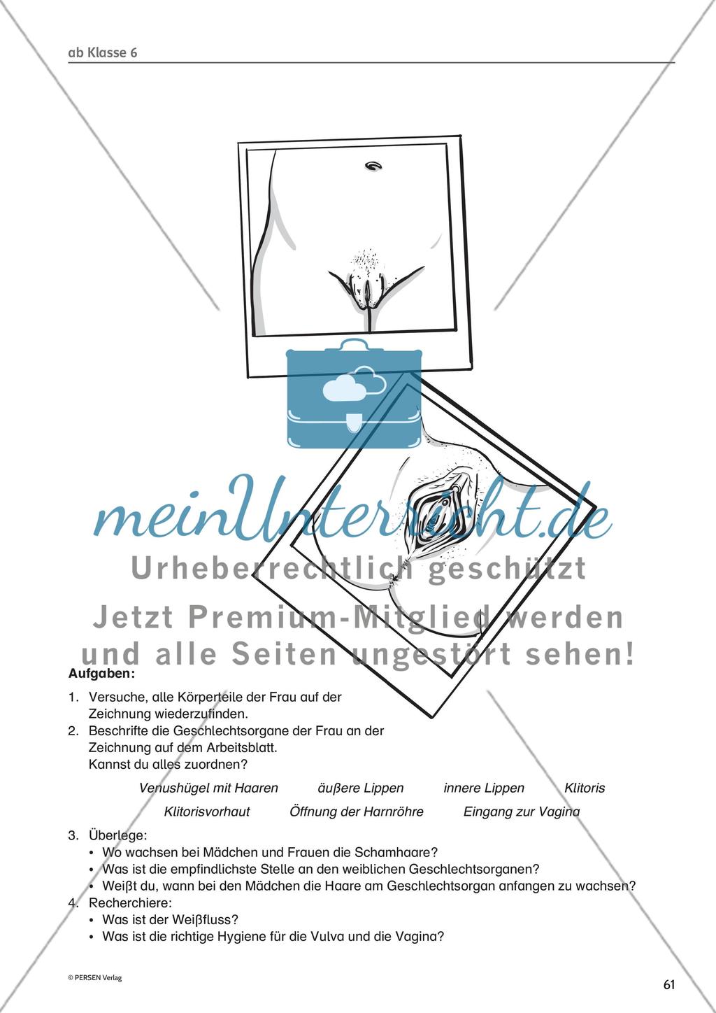 Methodisches für die Unterrichtspraxis: Hinweise und Arbeitsmaterial - Teil 3 Preview 5