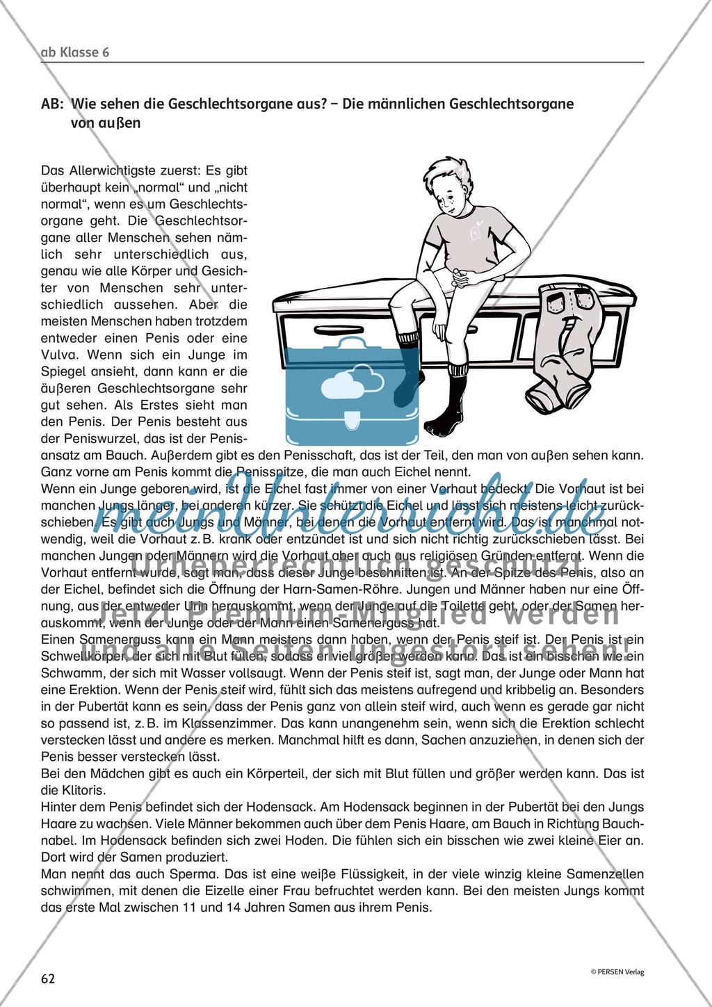 Methodisches für die Unterrichtspraxis: Hinweise und Arbeitsmaterial - Teil 3 Preview 6