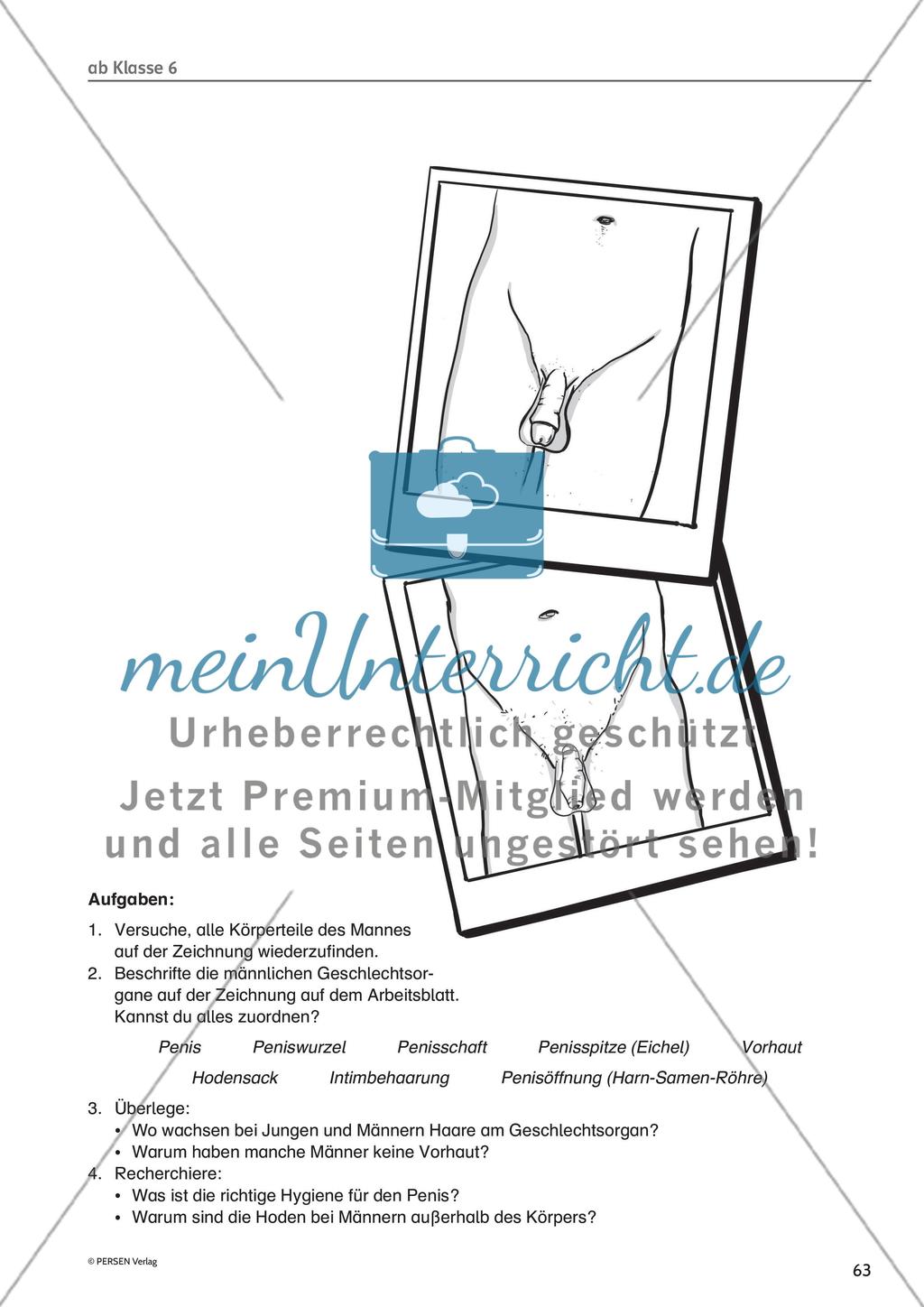 Methodisches für die Unterrichtspraxis: Hinweise und Arbeitsmaterial - Teil 3 Preview 7