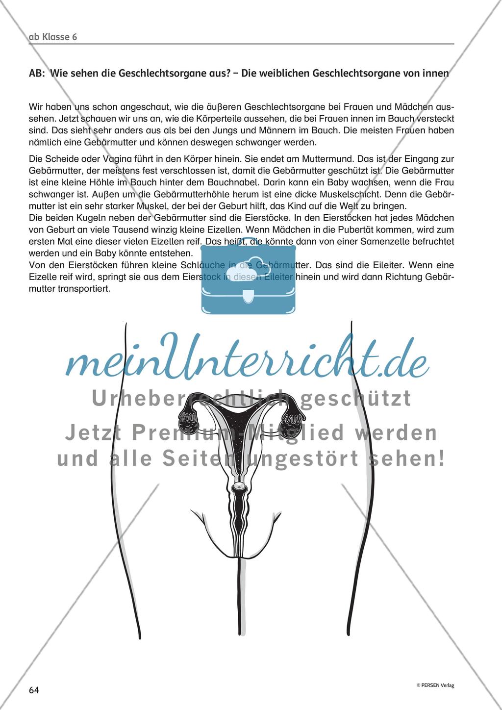 Methodisches für die Unterrichtspraxis: Hinweise und Arbeitsmaterial - Teil 3 Preview 8