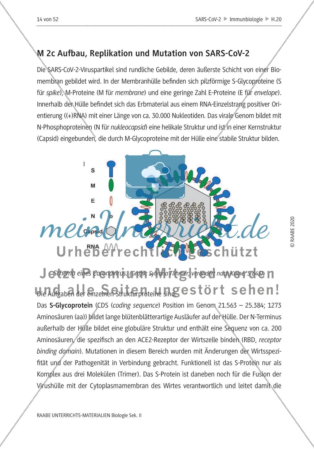 SARS-CoV-2: Zoonose oder Biowaffe? - Teil 1 Preview 12