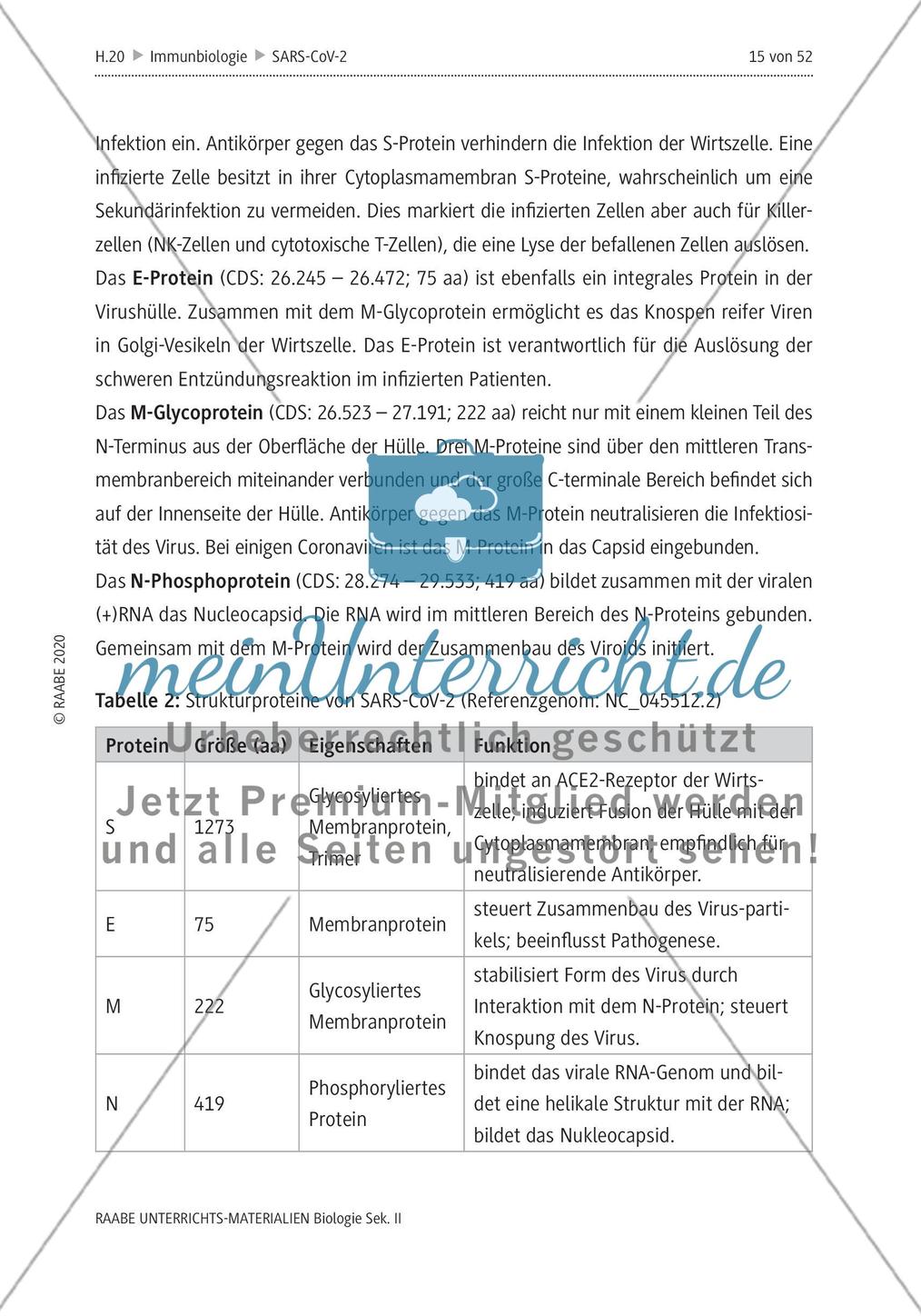 SARS-CoV-2: Zoonose oder Biowaffe? - Teil 1 Preview 13