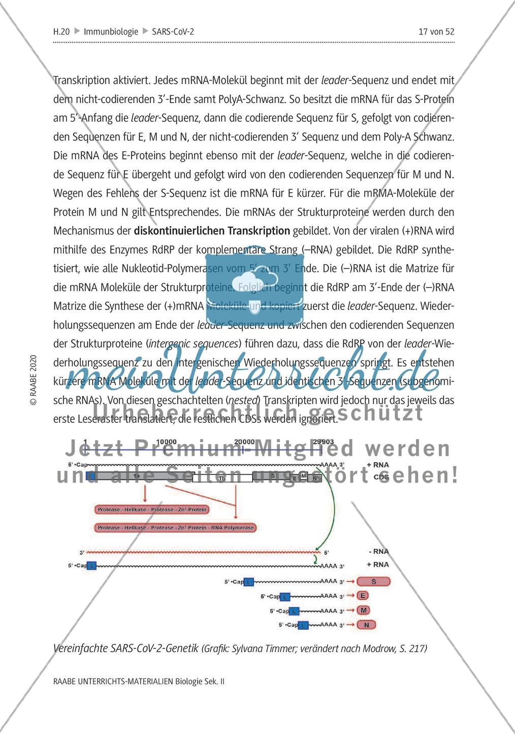 SARS-CoV-2: Zoonose oder Biowaffe? - Teil 1 Preview 15