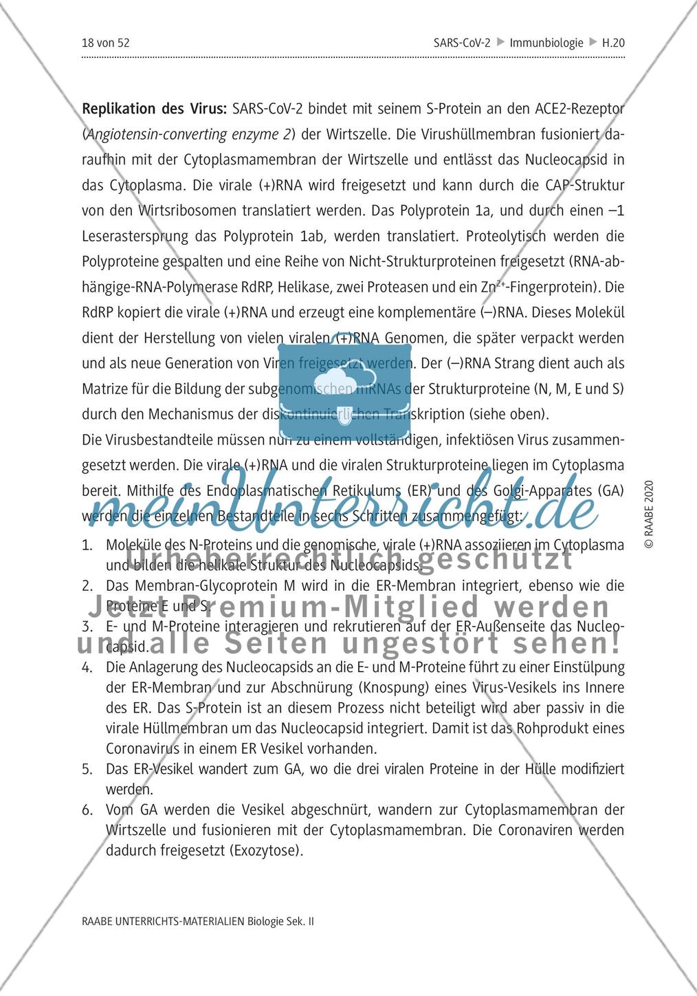 SARS-CoV-2: Zoonose oder Biowaffe? - Teil 1 Preview 16