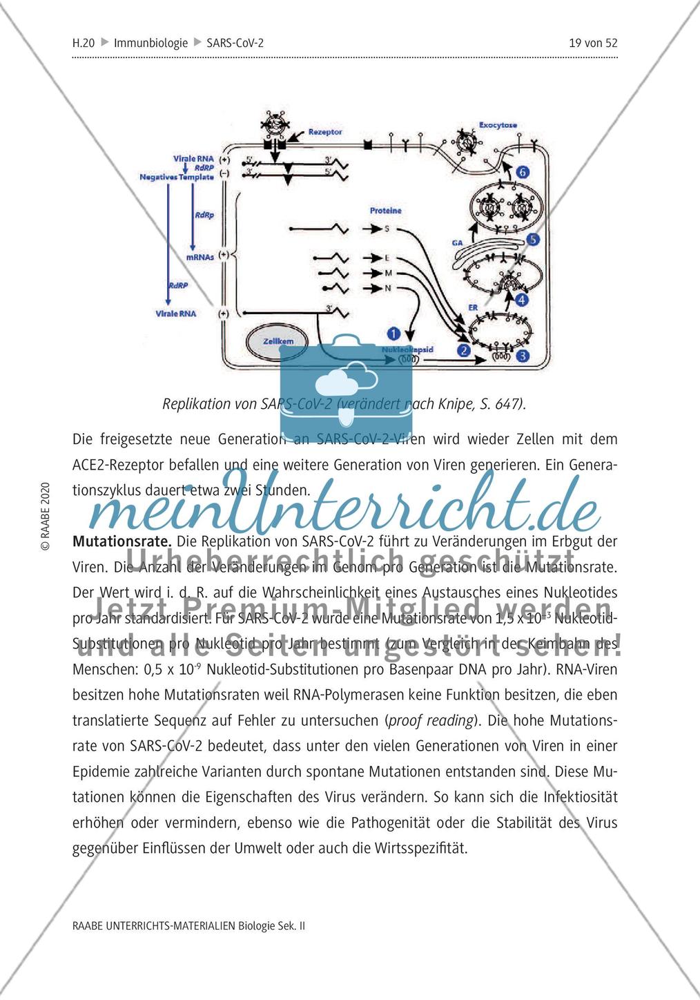 SARS-CoV-2: Zoonose oder Biowaffe? - Teil 1 Preview 17