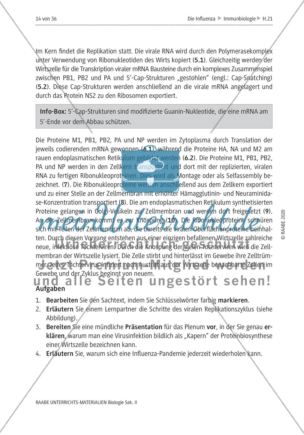 Die Influenza - M4-M5 Preview 2