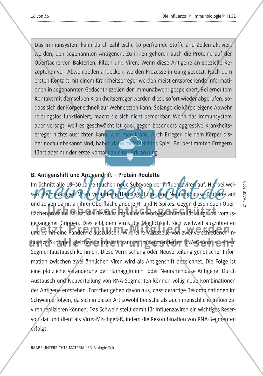 Die Influenza - M4-M5 Preview 4