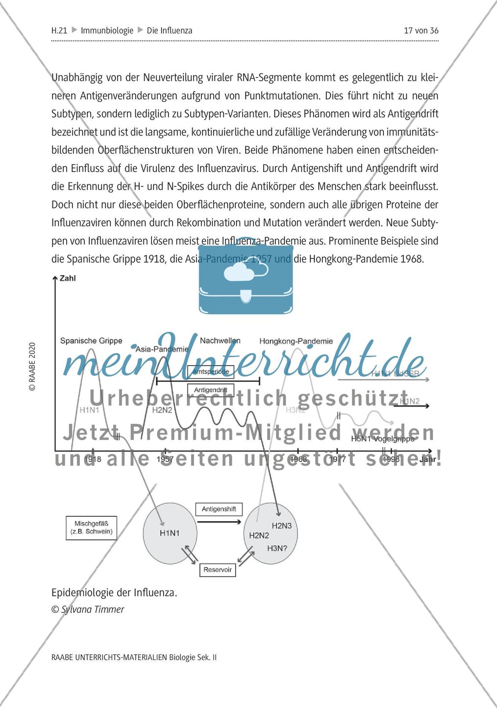 Die Influenza - M4-M5 Preview 5