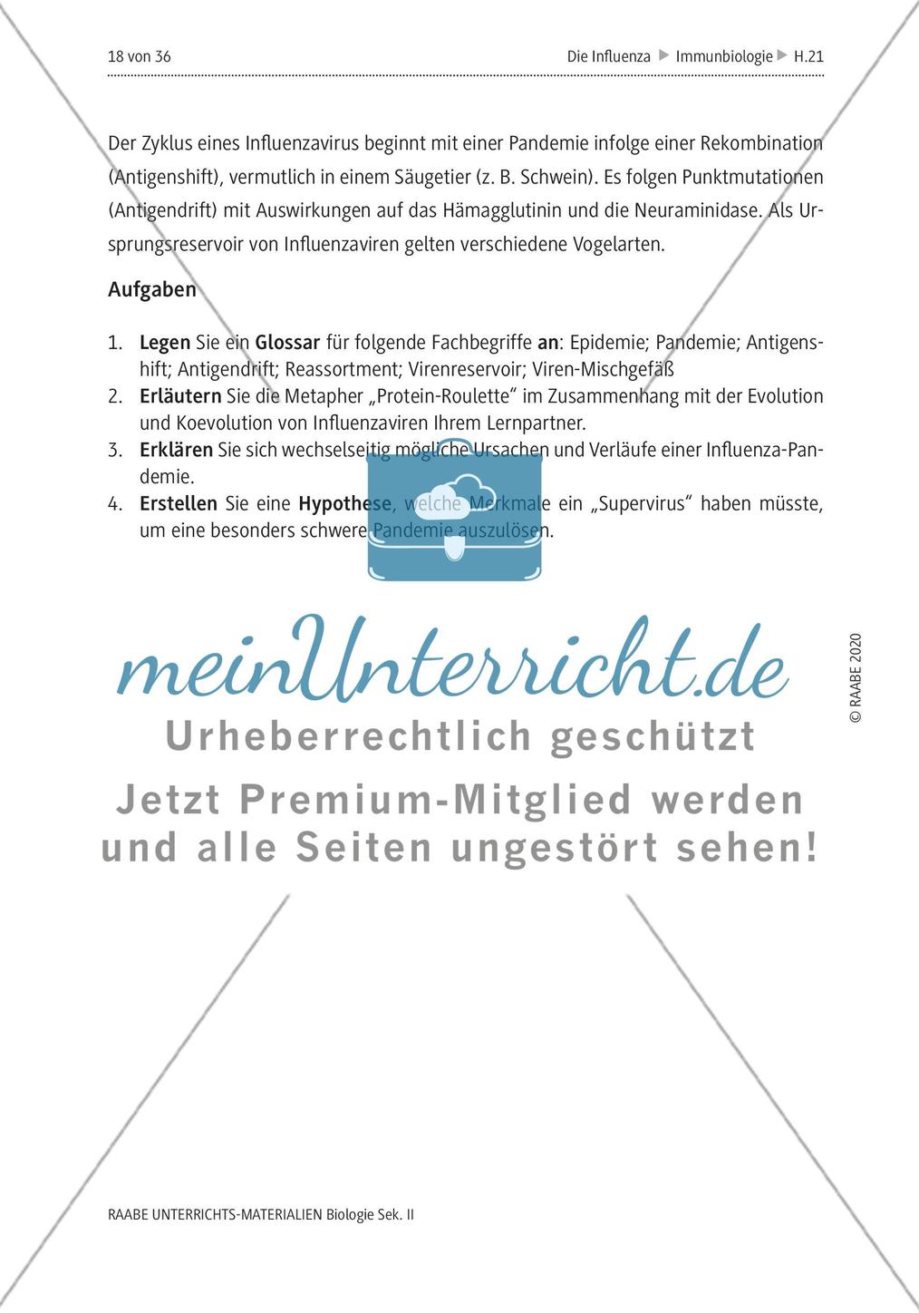 Die Influenza - M4-M5 Preview 6