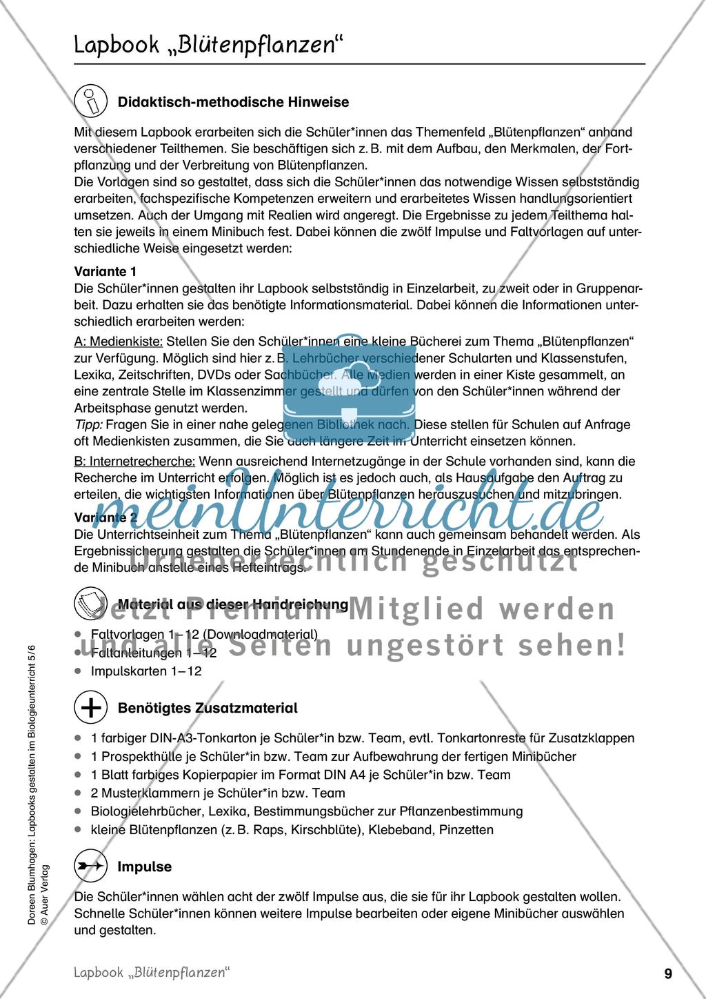 Lapbook