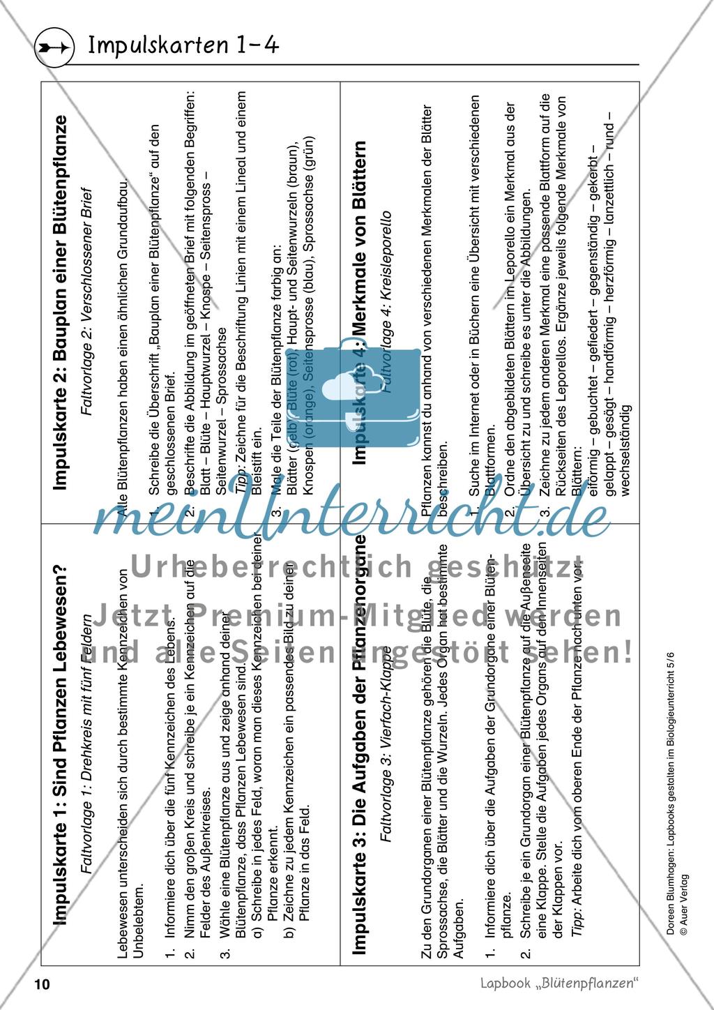 Lapbook