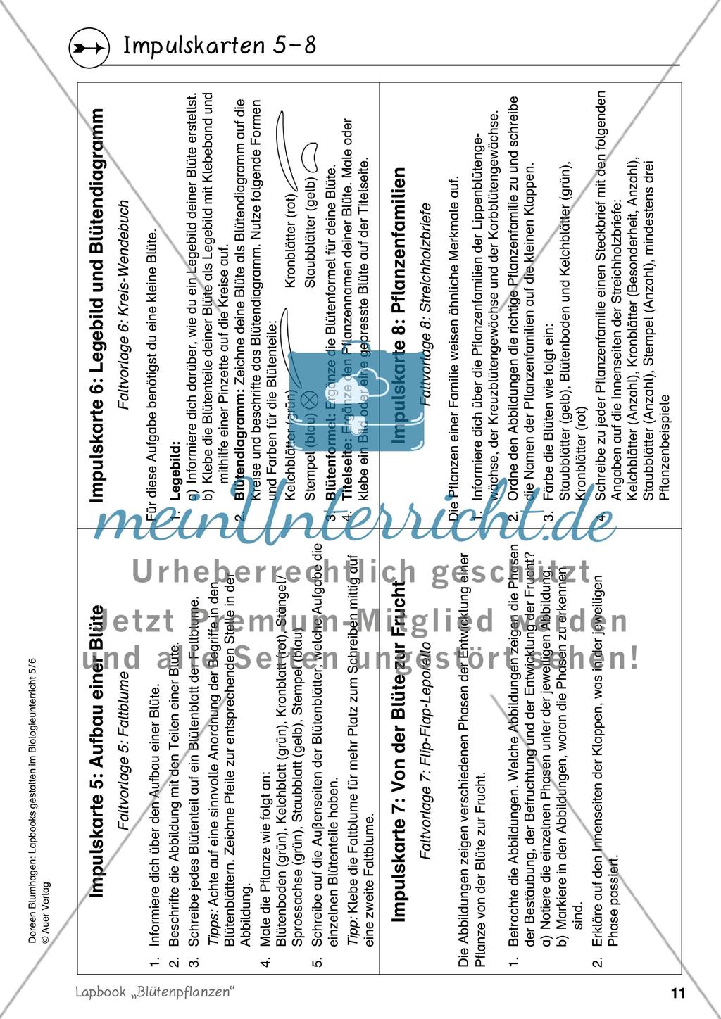 Lapbook