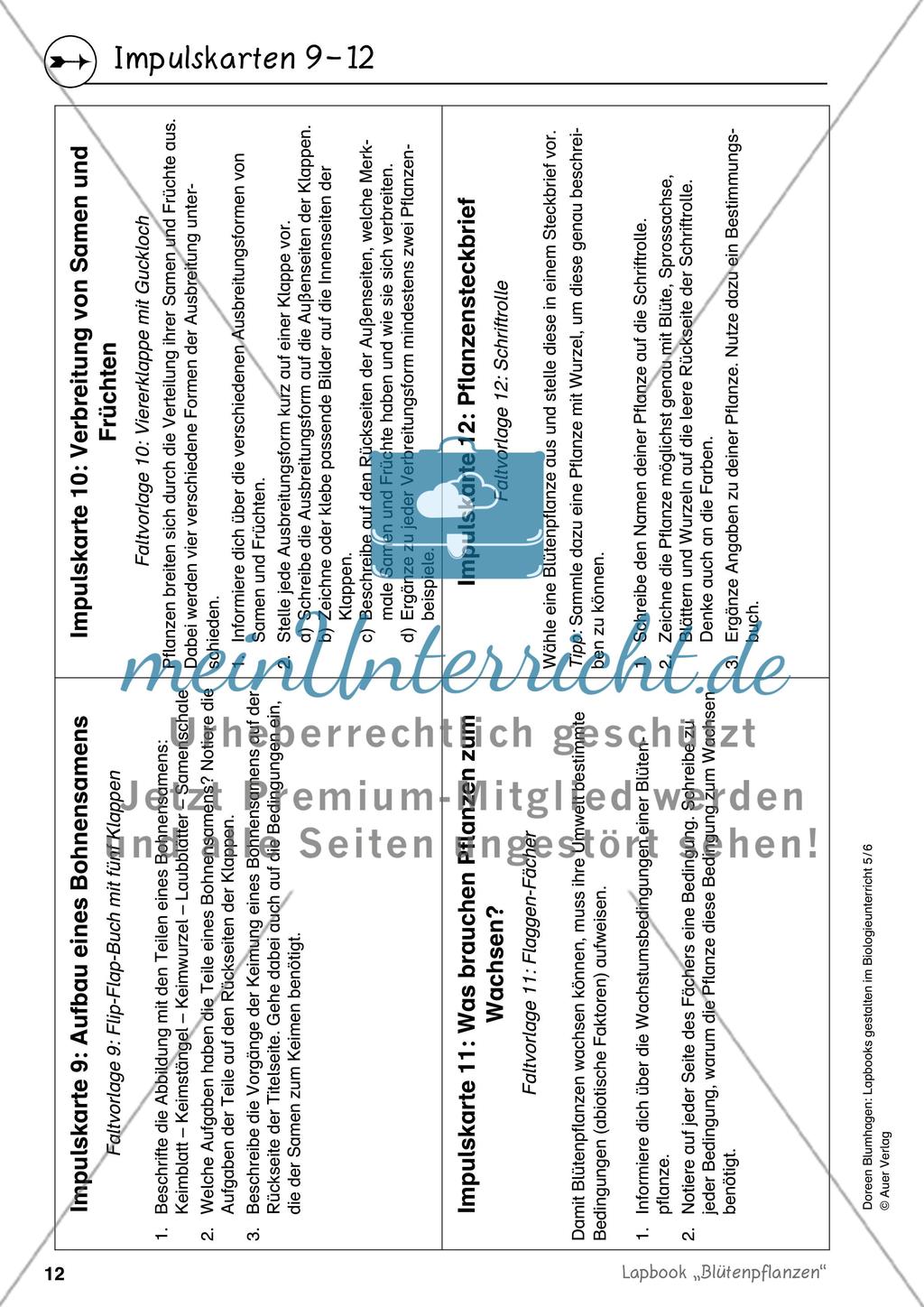 Lapbook