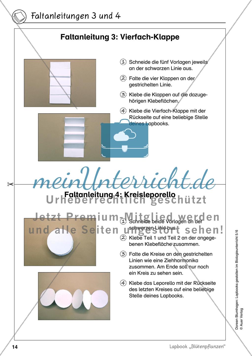Lapbook