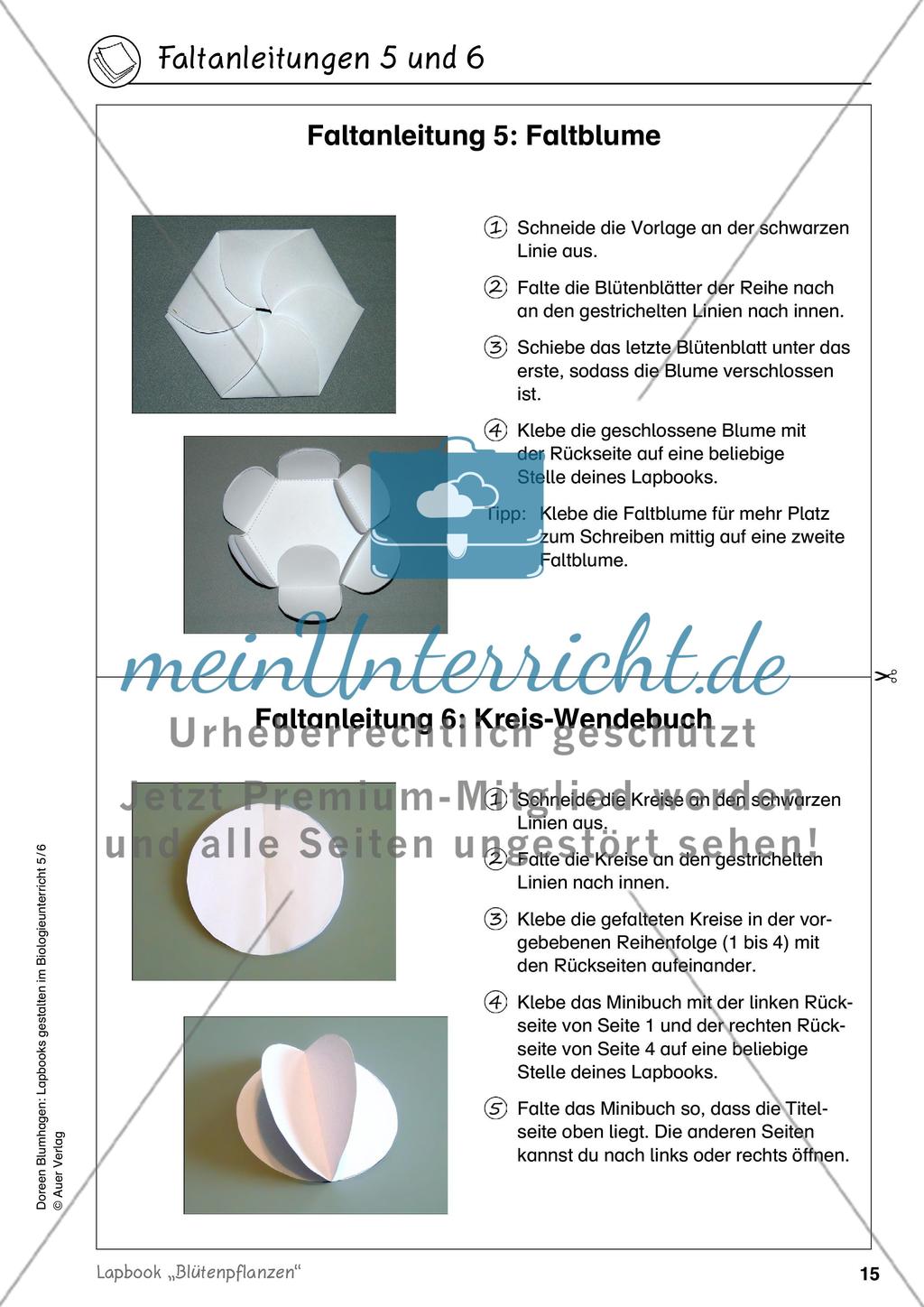 Lapbook